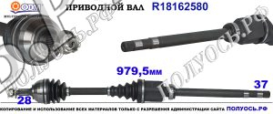 R18162580 Приводной вал правый CITROEN DS5,JUMPY II,TOYOTA PROACE I,PEUGEOT RCZ,FIAT SCUDO II,PEUGEOT EXPERT OEM : 1497188080,1497188088,1497199080,3273NL,3273NP,3273NQ,71791561,71792561