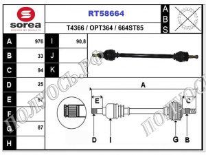 RT58664
